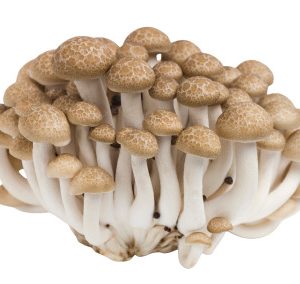 Mushrooms, Brown Shimeji, not chemical free, 150g