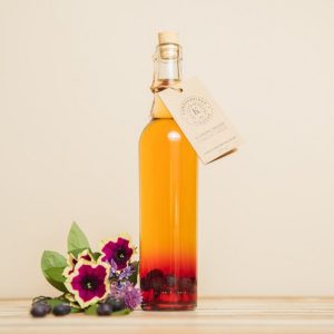 Kombucha Vinegar - Blueberry Infused