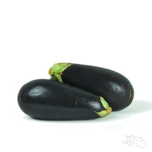 Aubergine
