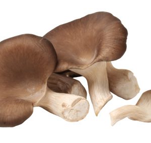 Mushrooms, Oyster, not chemical free, 300g