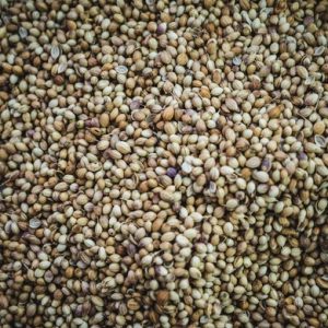 Hemp seeds, not organic, imported