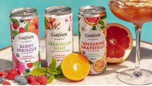 Carmien Sparkling Ice Tea Range