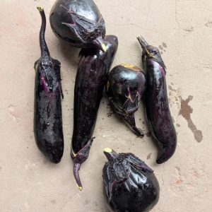 Mixed Eggplant (organic) 400g