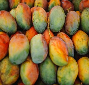 Mangoes, sabre variety, organic