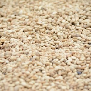 Sesame seeds, not organic, imported