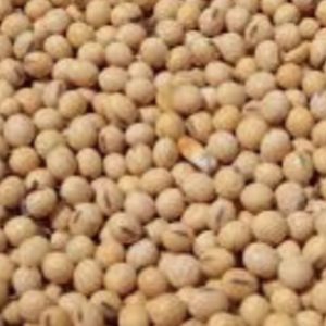 Soy beans, organic, imported