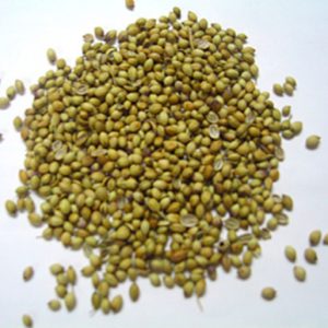 Coriander, imported