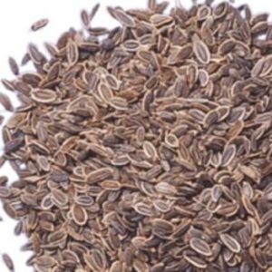 Dill seeds, imported