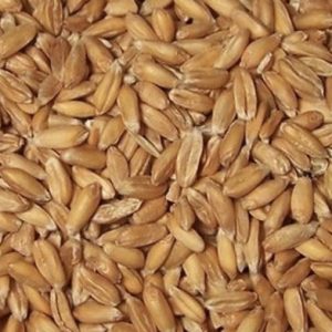 Spelt Kernels, 1kg, imported