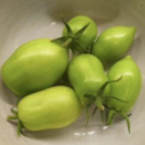 Tomatoes, Green Date, not chemical free, 1kg