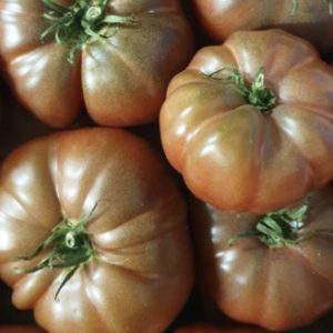 Tomatoes, Noire de Crimee, heirloom, not chemical free, 1kg