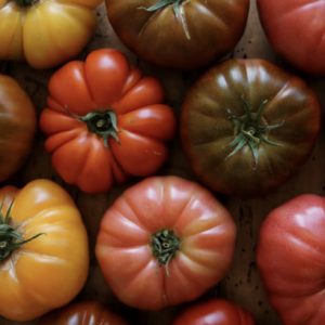 Tomatoes, Marmande, mix of colours, heirloom, not chemical free, 1kg