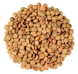 Lentils, imported