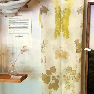 Sunlit Summer Leaves