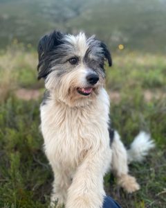 Hera